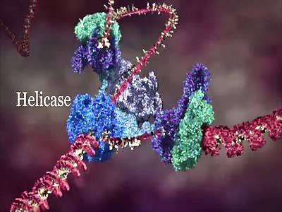 Viva la evolution!?!?