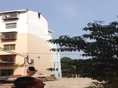 Asian Spider Falls Off Height