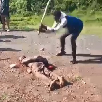 Good Samaritans Show Him the Way