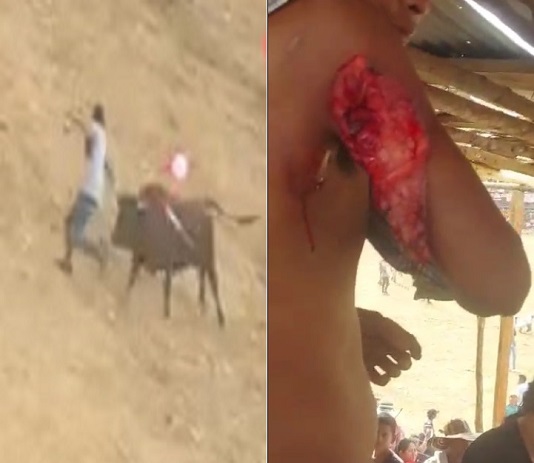 When Will They Learn to Stop Fucking with Bulls?