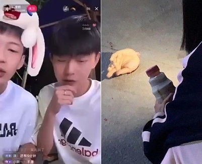 Streamer Finds Out What a Sword Feels Like