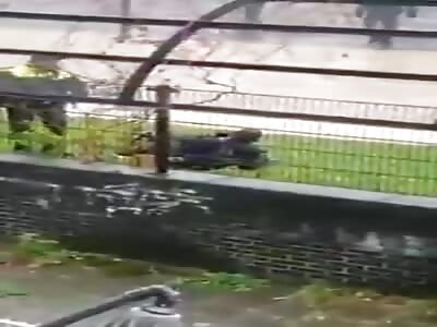 Dutch policeman kicks covid-demonstant to the head.