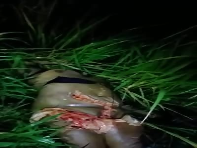 Meat Delivery Woman Gets Butchered