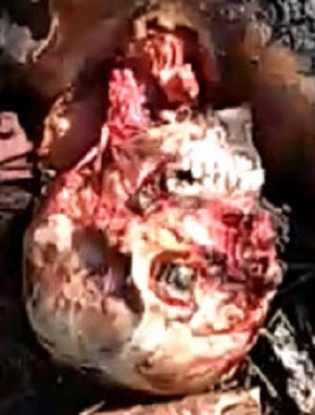 Pregnant Woman Burned and Left For the Vultures