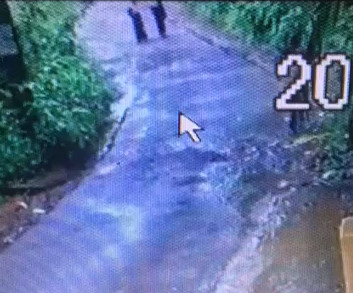 Stray Dogs Attack Two School Girls