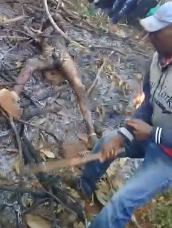 He Just Wanted Eat the Barbecue