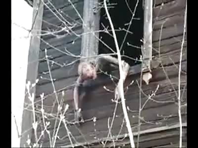 burned house several dead