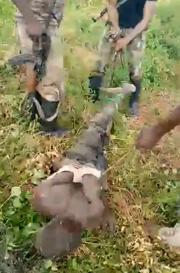 Boko Haram Member Tortured then Executed (Clean Version)