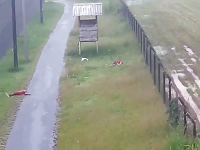 Attempt to escape prisoners ends with 23 dead in the metropolitan region of BelÃ©m