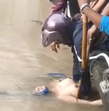 Pair of Tits Emerge from the Murky Waters of a River