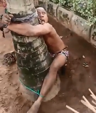 The Tree Of Justice Experience