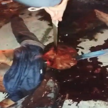 ECUADOR: The Prison Violence Is Peaking Again (New)