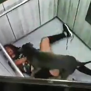 Pit Bull Attacks 25-Year-Old Woman In Colombia