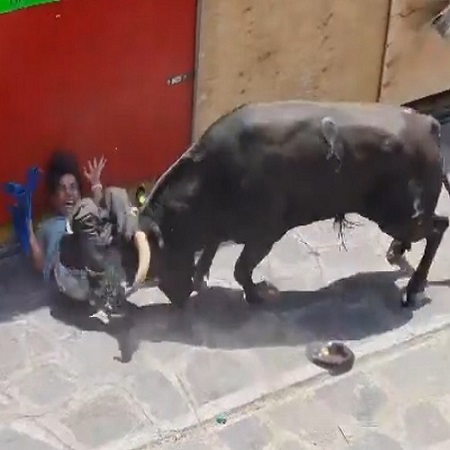 Maybe it's Time to Stop Fucking With Bulls 