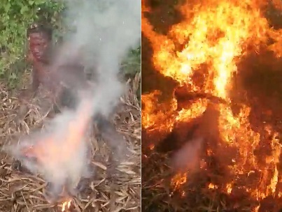 Definitely Hottest Thief of the Weekend (Extended)