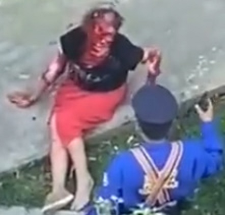 Pitbull Dogs Don't Fuck Around