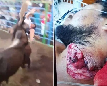 Bull Left Him Alive to Suffer (Uncensored)