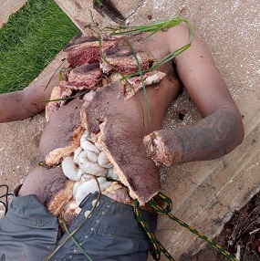 So... You Still Want to be a Gang Member?