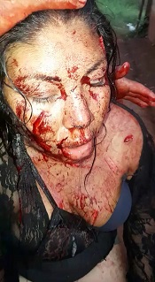 Jaguars Aren't the Kind of Cats You'd Want to Have Jump On Your Lap