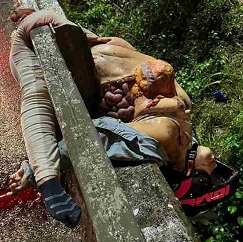 Somehow This Woman Is Still Alive (New Footage)