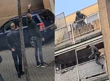 That's One Stupid Way To Outrun The Cops