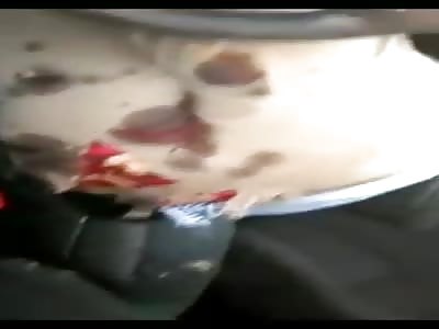 From Brazil with love 