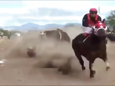 Horse racing accidents 