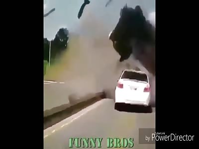 Brutal Accident