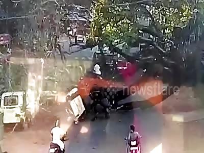 Horrific footage shows tree falling on a moving car