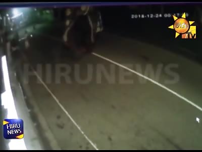 The attack of the deadly elephant