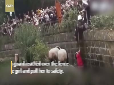 Security guard rescues girl from panda exhibit in SW China zoo