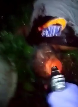 DAMN: Revenge Taken Out on Rival Gang Member in Puerto Rico