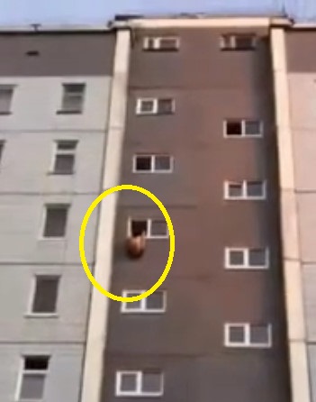 Suicide or Stupidity!Â¡?