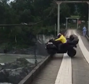 Another nominee for the Darwin award