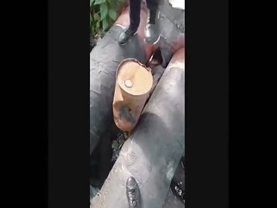 HOLY SHIT: Kids Stab and Beat Homeless Man to Death