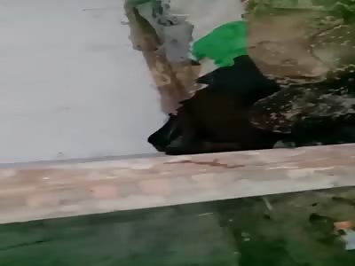 Decomposed Body Found in an Abandon House