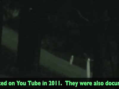 fresno nightcrawlers in yosemite this time