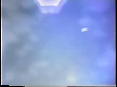 Astronaut films 'Snakes in Space'