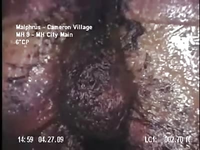 Sewer Blobs.......WTF?!