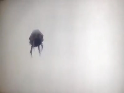 Clear UFO over Guadalajara