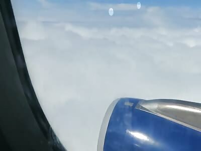 Several Small Things Buzz Plane