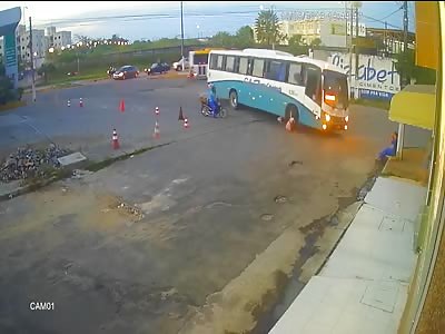 Fresh meat for the dog