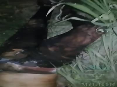 body of a woman murdered and burned