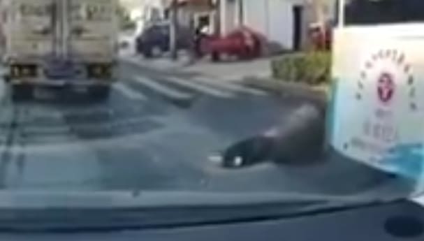 Shitty Day for Man in the Road