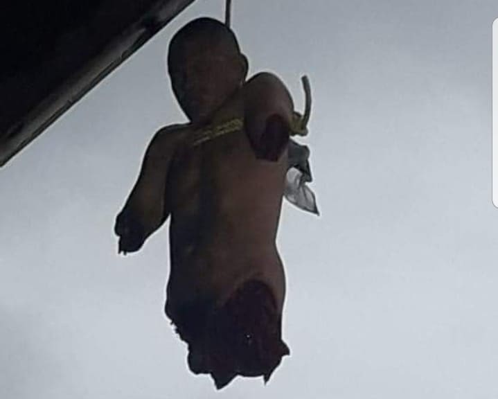 Just Hangin' Around (Best Quality)