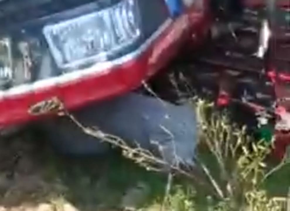 Bad Luck: Killed by Own Harvester 