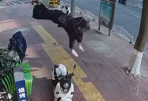 Old Lady Gracefully Tumbles From Her Balcony