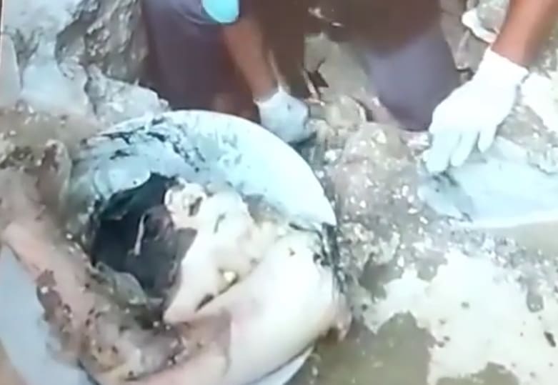 Remains Of Murdered Man Found in Septic Tank