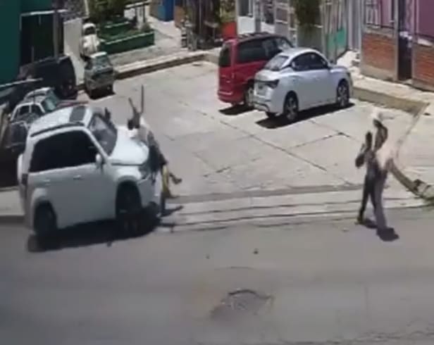 Drunk Driver Mows Down Two Kids