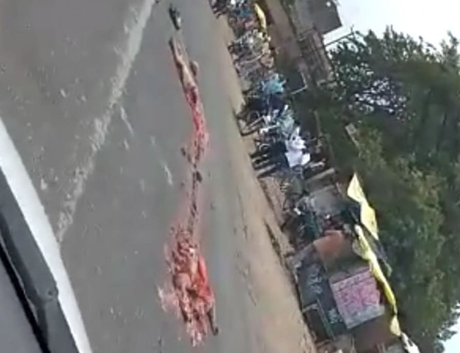 Straight Carnage On The Road